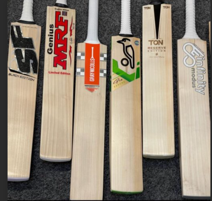 which cricket bat is best for cricket